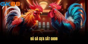 Đá gà cựa sắt GK88