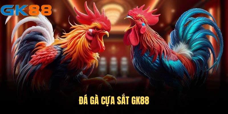 Đá gà cựa sắt GK88