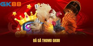 Đá gà thomo GK88