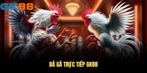 Đá gà trực tiếp GK88